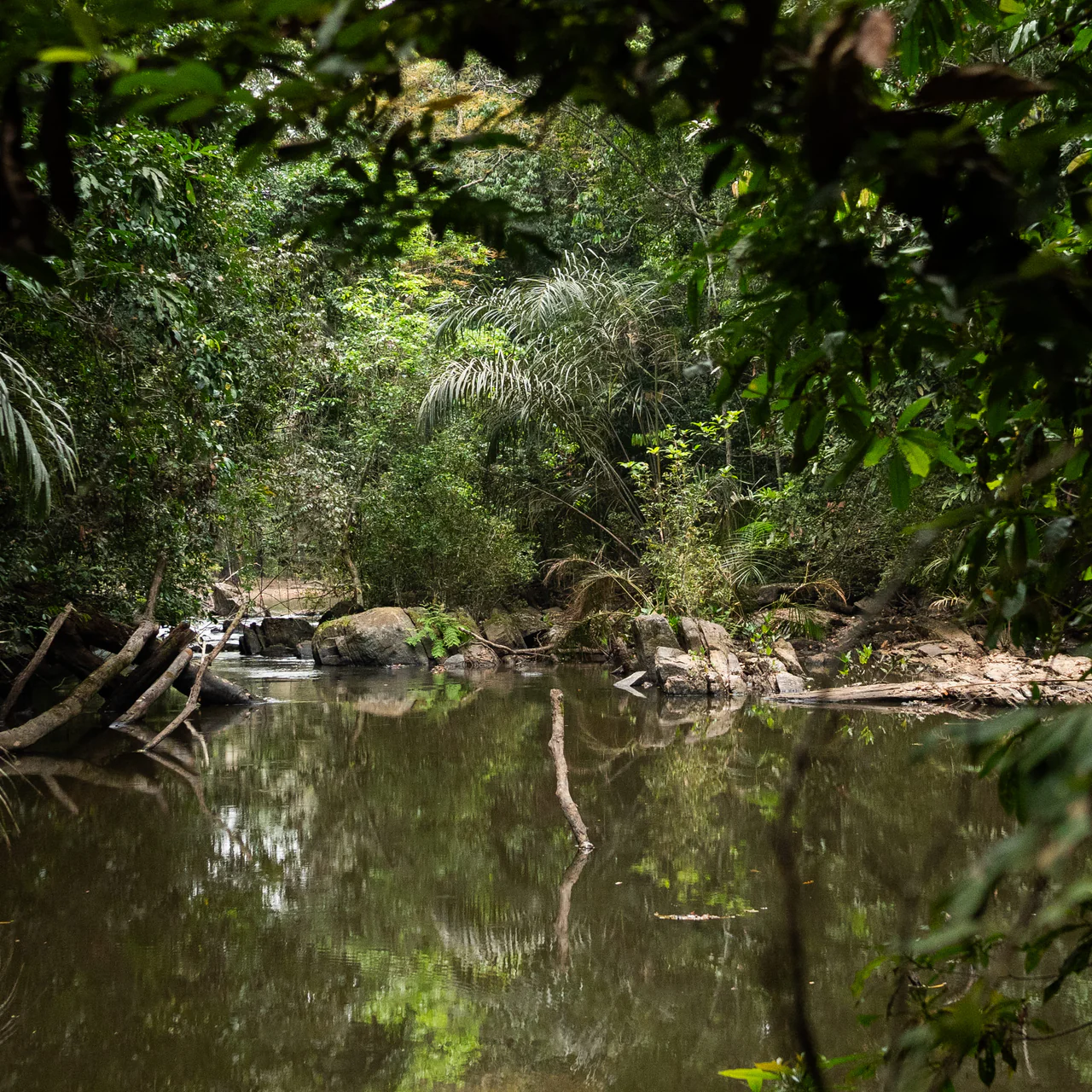 Welcome to Our Store