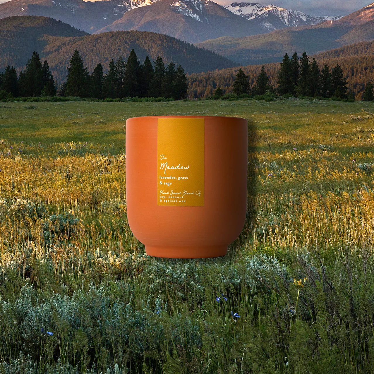 The Meadow - Image 5